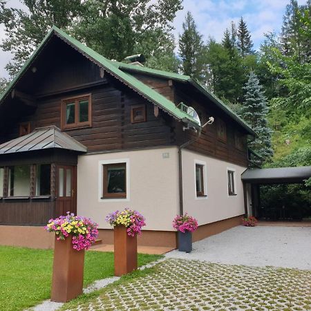 Freeride-Living Villa Annaberg im Lammertal Exterior photo